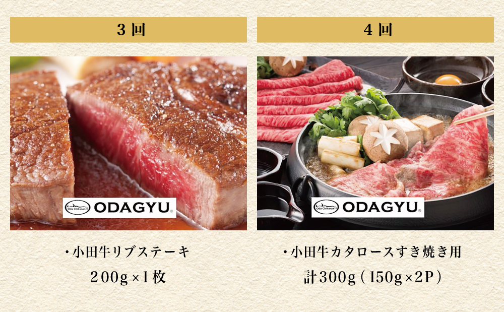 【全5回】プレミアムブランド「小田牛」定期便［肉三昧］鹿児島県産 黒毛和牛 ステーキ リブステーキ すき焼き 焼肉 カタロース カルビ モモ ソース 冷凍 小田畜産 南さつま市