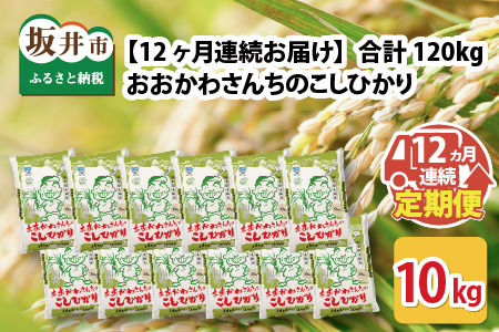 【令和6年産・新米】 【12ヶ月連続お届け定期便】おおかわさんちのコシヒカリ 10kg × 12回 [O-10801]