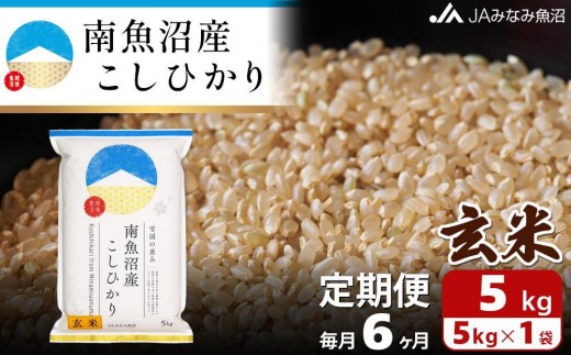 【JAみなみ魚沼定期便】南魚沼産こしひかり玄米（5kg×全6回） ≪特A獲得日本一産地 調整玄米 精選玄米 雪国の恵み もっちり甘い 南魚沼産コシヒカリ 定期便 コシヒカリ こしひかり 玄米 銘柄米≫