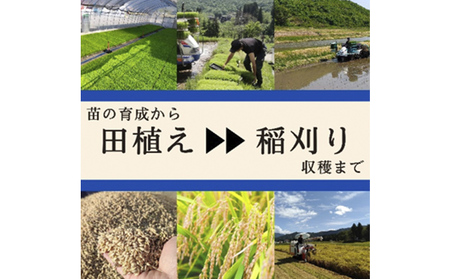 令和6年産 ブランド米 魚沼産コシヒカリ 無洗米 10kg（5kg×2袋）