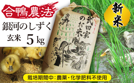 《令和６年産》新米 武田家のお米 銀河のしずく（玄米）５kg＜合鴨農法＞【米農家 仁左ェ門】 / 米 げんまい ５キロ アイガモ