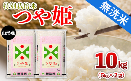 山形産 特別栽培米 【無洗米】つや姫 10kg(5kg×2) FY25-482