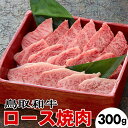 【ふるさと納税】鳥取和牛ロース焼肉(300g)※着日指定不可※離島への配送不可