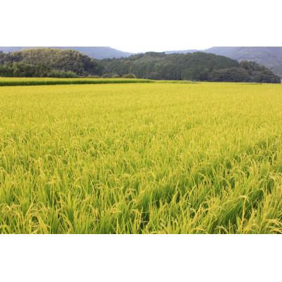 ふるさと納税 香春町 【新米　令和8年産】9月〜出荷【食味鑑定士厳選】福岡県産 夢つくし15kg(5kg×3袋)(香春町) |  | 01