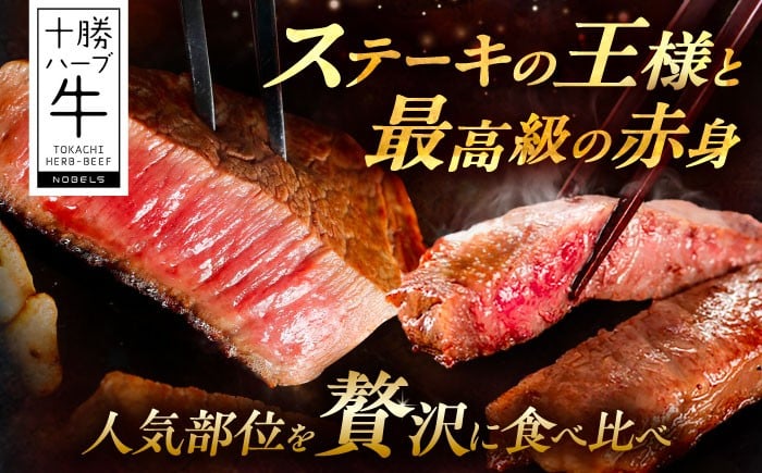 牛肉 牛 肉 にく ニク サーロイン ひれ ヘレ ステーキ 国産 道産 北海道産