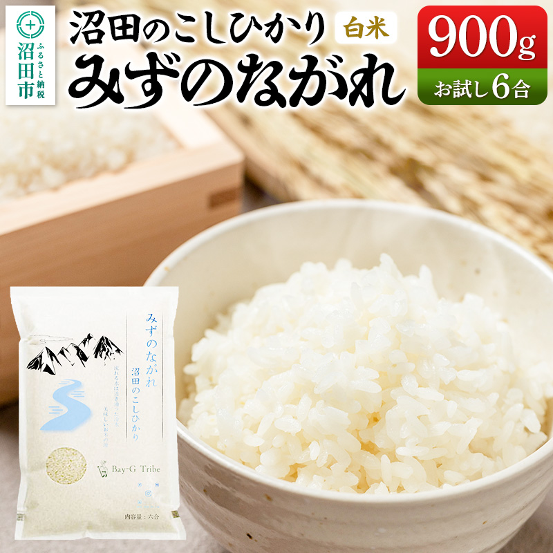 令和7年産 新米 沼田のこしひかり「みずのながれ」お試し六合 900g 群馬県沼田市産 精米 白米 コシヒカリ