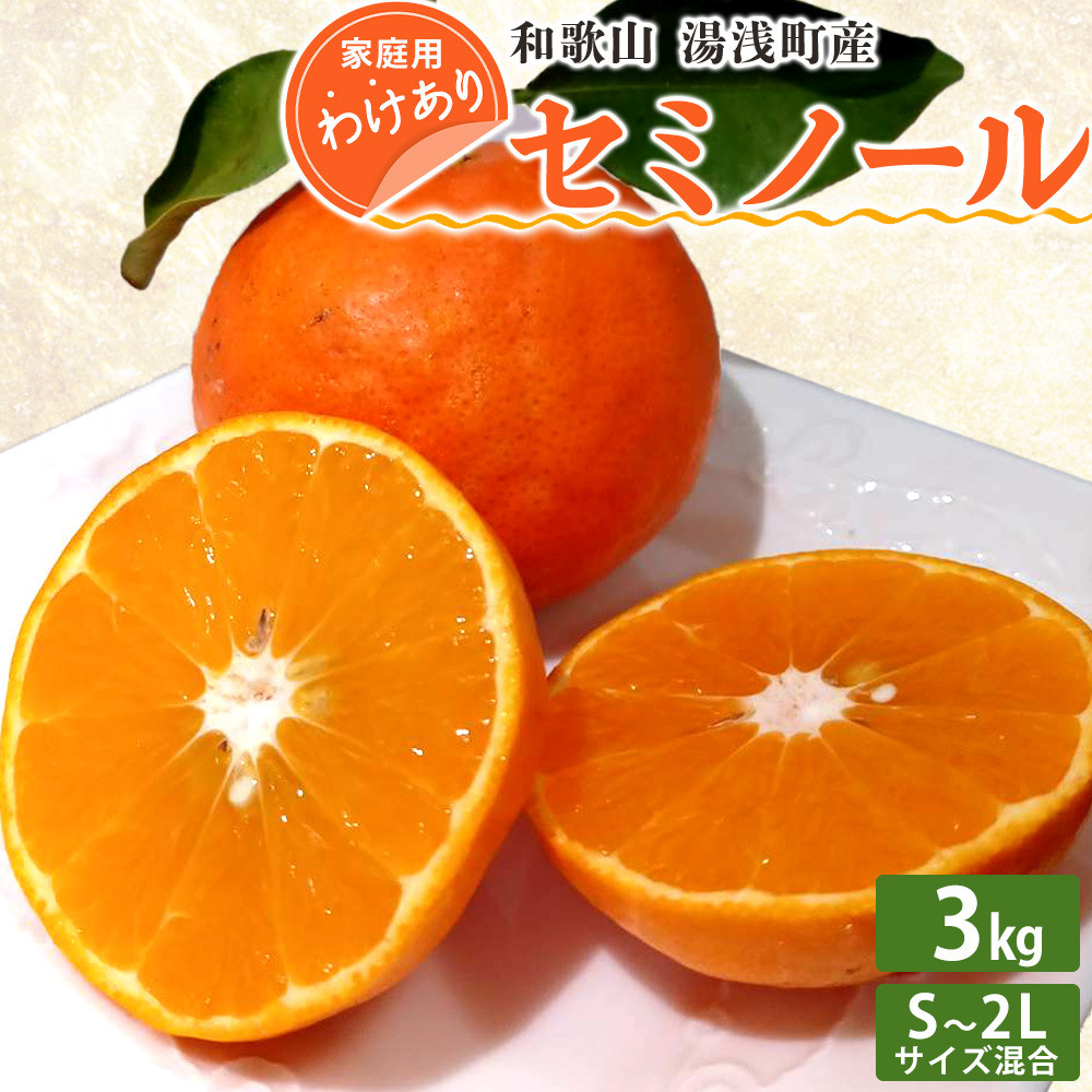 
EQ6009_【訳あり 家庭用】和歌山 湯浅町産 セミノール 3kg（S～2Lサイズ混合）＜2025年4月発送＞
