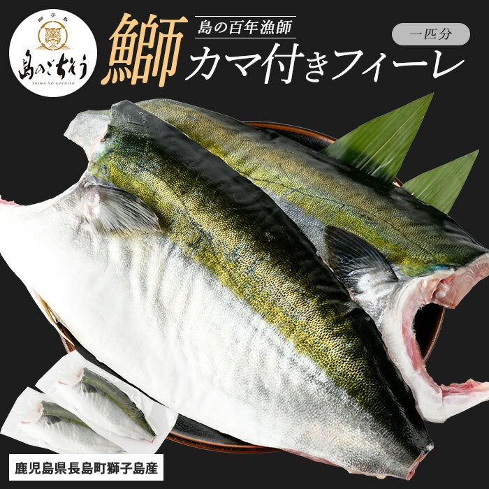 【ふるさと納税】【先行予約】＜百年漁師＞獅子島産 百年漁師の鰤 カマ付きフィーレ2パック (1匹分) 【島のごちそう】gochi-1315