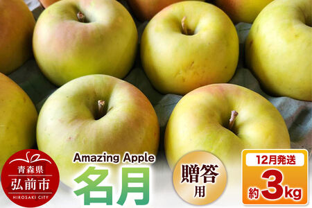 【26年12月発送】りんご 名月【贈答用】約3kg