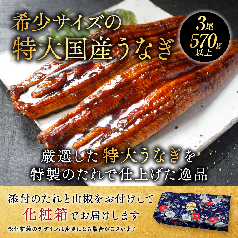 （6月）国産 特大 特上うなぎ(190g×3尾)【OT000OC30_006】_イメージ2