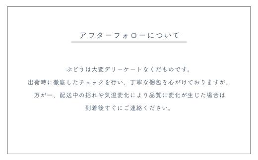 【家庭用】 ぶどう2種セット （ナガノパープル・クイーンルージュ®） 約2kg [TK37]／ 2026年9月中旬～10月頃 配送予定 //
