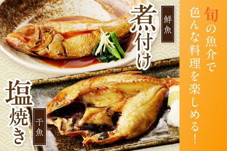 のどぐろの鮮魚と干魚のコラボセット 魚介類 魚介 魚 のどぐろ 干物 鮮魚 一夜干し お刺身 セット 【096_1696】