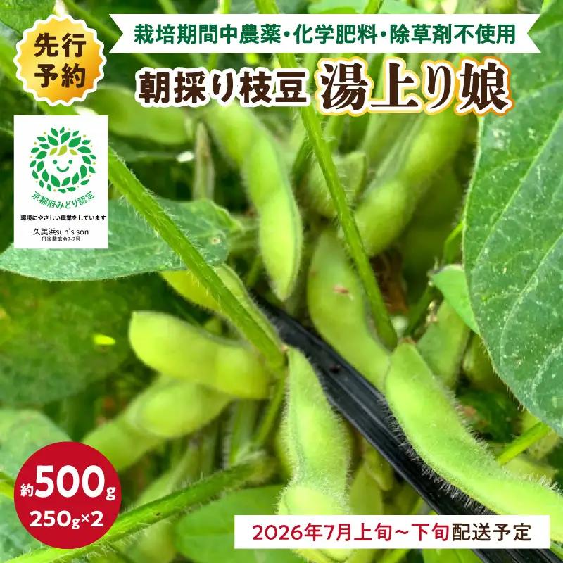 【先行予約／数量限定40】朝採り枝豆（湯上り娘）500g（2026年7月上旬～発送） 枝豆