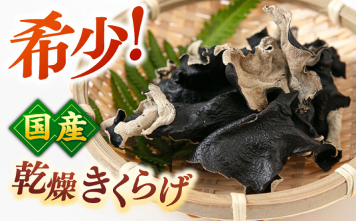 国産 乾燥 きくらげ 8袋 セット