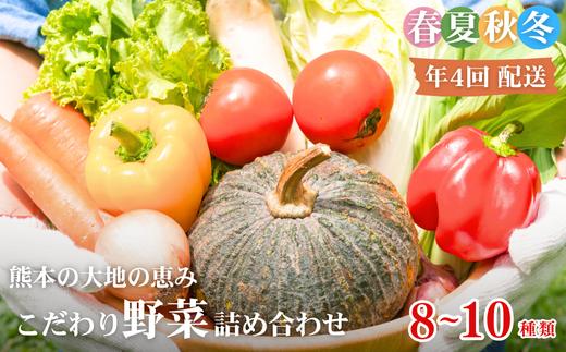 【年4回定期便】春夏秋冬 熊本の大地の恵み こだわり野菜詰め合わせ 8～10種類 定期便 野菜 獲れたて 直送 旬 熊本県 多良木町 ソムリエ 厳選 おまかせ おすすめ セレクト お試し 024-0817