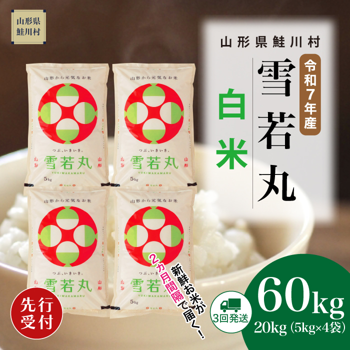 ＜令和7年産米先行受付＞ 鮭川村産 雪若丸 【白米】60kg定期便(20kg×3回)　配送時期指定できます！