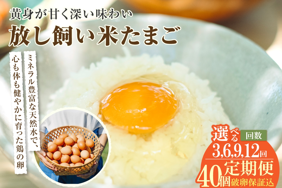 
            【3～12ヶ月定期便】放し飼い米たまご　35個 + 5個保証（計40個）選べる定期便回数【JGAP認証】
          