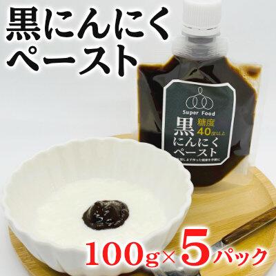 ふるさと納税 三原市 黒にんにくペースト 100g×5パック セット [118-001]