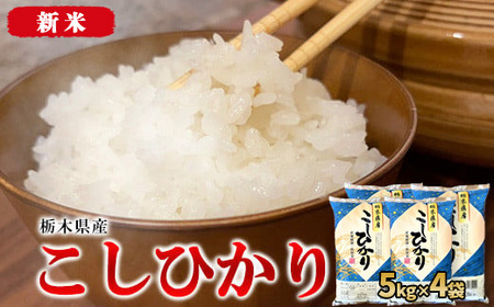 【令和6年産・新米】栃木県産こしひかり（精米・5kg×4袋）　※離島への配送不可