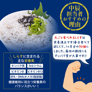 しらす 釜揚げしらす 900g 【NKT003】