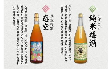 八女の極上梅酒セット 純米酒仕込み 飲み比べ お酒 本格梅酒 ロック 福岡県 八女市