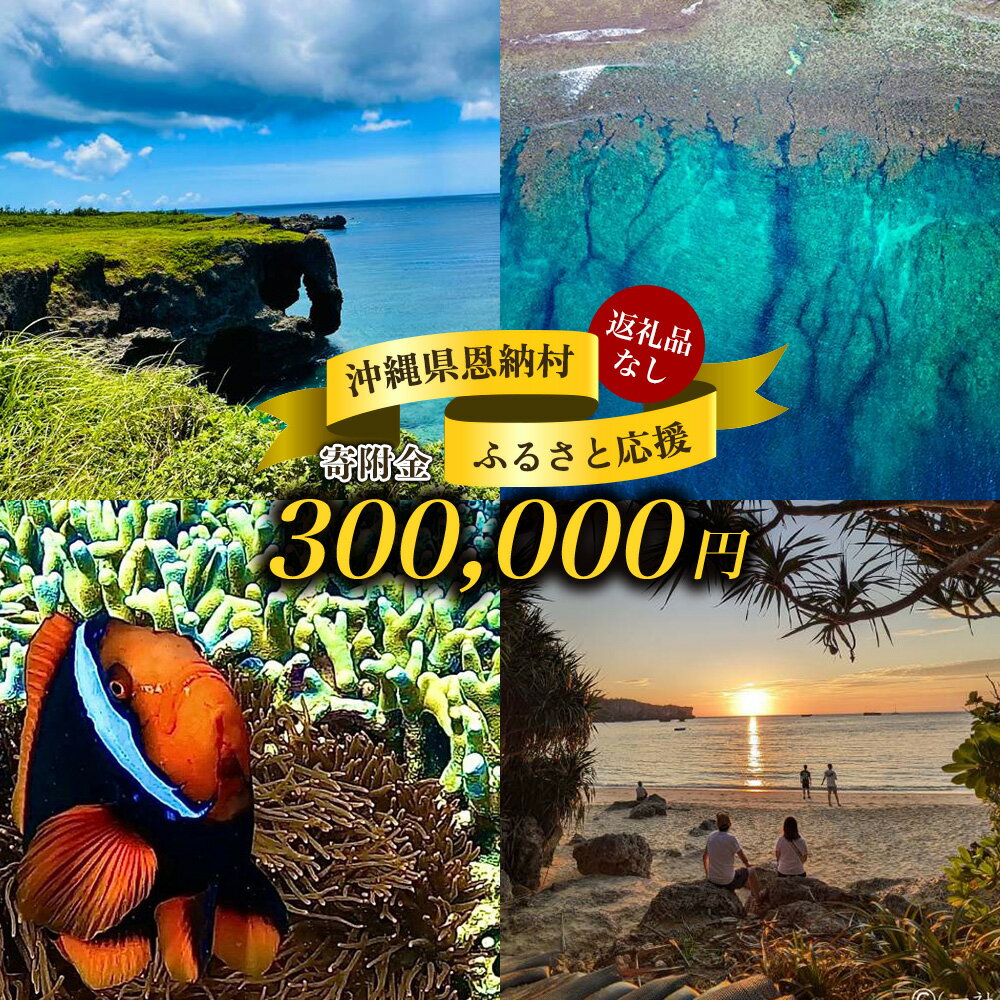 【ふるさと納税】【返礼品なし】沖縄県恩納村ふるさと応援寄附金 300000円