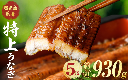 鹿児島県産うなぎ蒲焼 (計約930g / 約186g×5尾) 鰻 ウナギ うなぎ【薩摩川内鰻】 A1111-v01