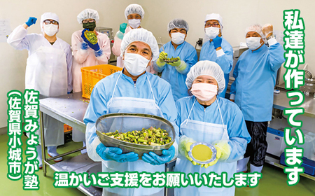 新鮮 朝採れ アスパラガスパウダー100g 通常サイズ  A080-025 栄養補助 機能性食品 濃縮 葉酸 ビタミン 離乳食 6次化商品 お菓子作り 野菜不足 社会福祉 就労支援 佐賀県 小城市