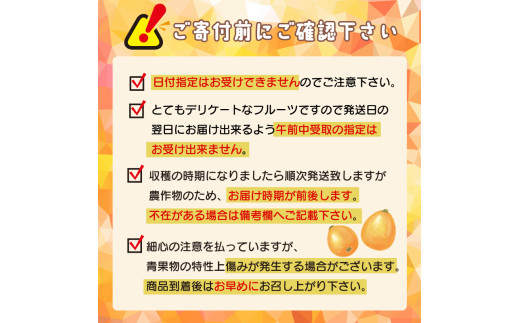 【 早期予約受付 5月中旬頃より順次発送 】びわ フルーツ 果物 おすすめ 6 ~8個 4 パック 約 1.2kg 旬 果実 ギフト 枇杷 期間限定 高知県 須崎市 高級 季節 初夏 新着 高知 贈答