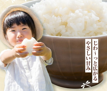 令和7年産 七城のこめ 精米 5kg  有限会社七城町特産品センター 《30日以内に出荷予定(土日祝除く)》