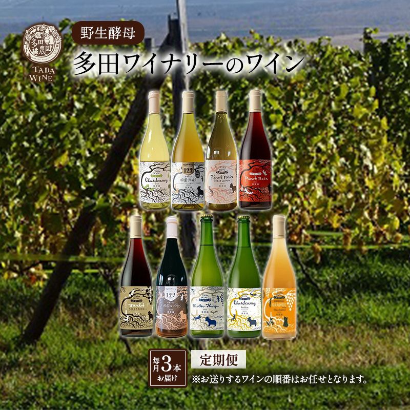 【ふるさと納税】【3ヵ月定期便】野生酵母で醸したワイン 毎月3本お届け (3ヵ月間) 多田ワイナリー 北海道 上富良野町 ワイン 赤ワイン 白ワイン 微発泡ワイン オレンジワイン