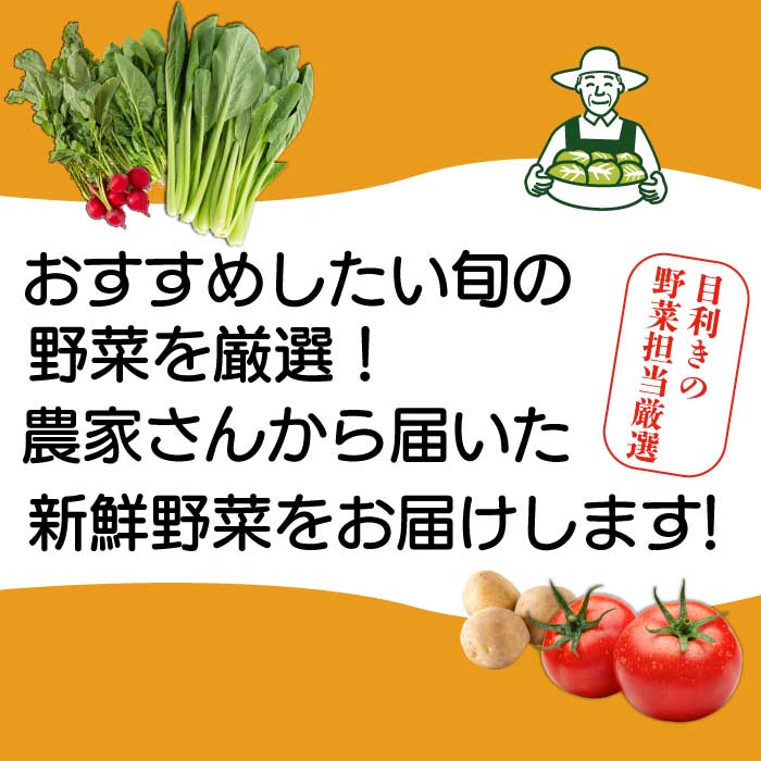 【3か月定期便】道の駅セレクト 旬野菜つめあわせ やさい 野菜 詰め合わせ 7～10品目 新鮮 国産 健康 ヘルシー サラダ 鍋 季節 043041