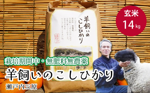 
            【栽培期間中・無肥料無農薬】瀬戸内三原 羊飼いのこしひかり 玄米14kg 002011
          