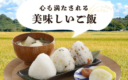 米 令和5年産 長谷川農園の コシヒカリ（白米） 計10kg （5kg × 2袋）[m22-a002]