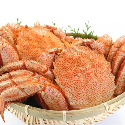 ふるさと納税 網走市 【網走産】毛がに800g前後×2杯