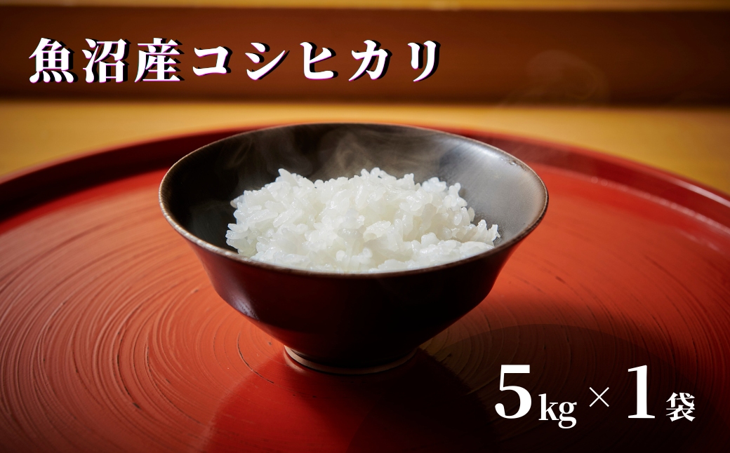 【令和7年産】魚沼産コシヒカリ 5kg×1袋 特別栽培米 127527-039