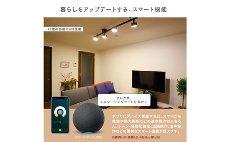エジソンスマートミニシーリングライト アーム付き(ダクトレール用) 【ブラック】 福岡市