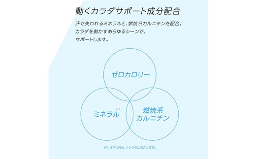 ゼロカロリー で 熱中症 対策 に おすすめ！アクエリアス ゼロ 2L ペットボトル × 6本 【655】