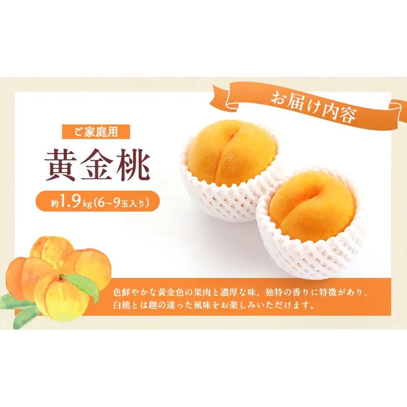 桃 2026年 先行予約 岡山 黄金桃 ご家庭用 約2kg 6～9玉入り もも モモ 岡山県産 国産 フルーツ 果物 直送！せとうちバスケット スイーツ こだわり 特産品 白い 香り 果汁 シーズン 