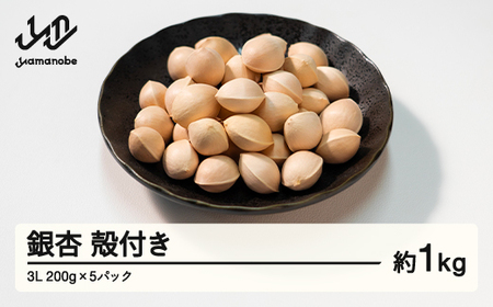 山形県産 銀杏 殻付き 3L 約1kg（200g×5パック） 2024年10月上旬から順次発送 ぎんなん おつまみ 真空パック 個包装 小分け 秋 野菜 F20A-928