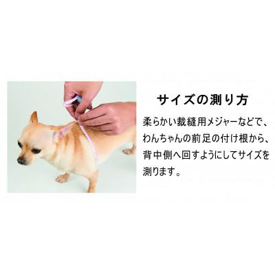 ふるさと納税 八潮市 メガネハーネス【LLサイズ】フランボワーズ(本革製) kazama premium |  | 01