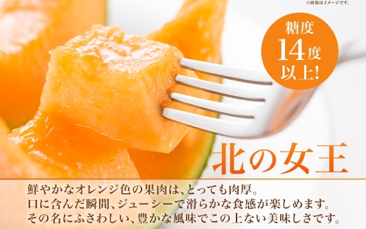 【2026年夏発送】北海道 赤肉メロン 北の女王 秀品 約1.6kg×1
