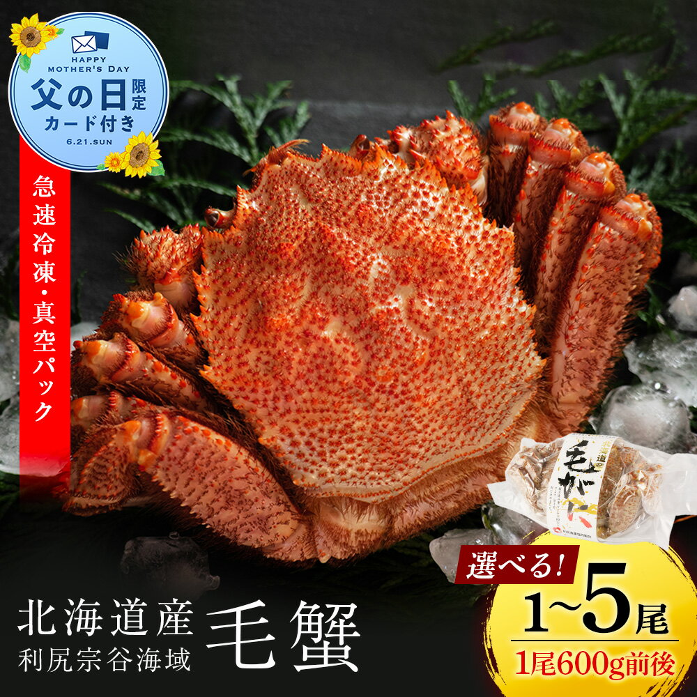 【ふるさと納税】【父の日フェア 6/10入金分まで】☆選べる発送時期☆ 北海道 利尻・宗谷産 毛ガニ 中サイズ（600g前後）選べる1尾〜5尾 ＜利尻漁業協同組合＞北海道ふるさと納税 利尻富士町 ふるさと納税 北海道 海鮮 北海道 カニ 蟹 毛ガニ 毛蟹 蟹みそ 濃厚 蟹棒