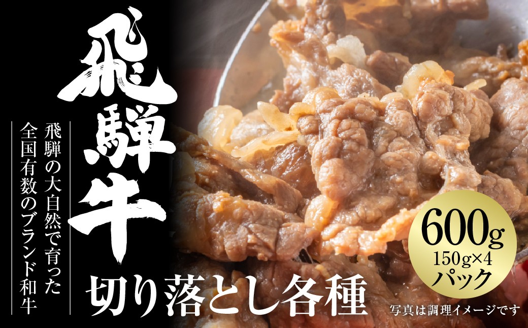 
                  飛騨牛 切落とし 600g（約150g×4パック） 冷凍真空パック | 肉 お肉 すき焼き すきやき しゃぶしゃぶ 黒毛和牛 和牛 個包装 小分け 人気 おすすめ 牛肉 ギフト お取り寄せ [MZ001] 
                