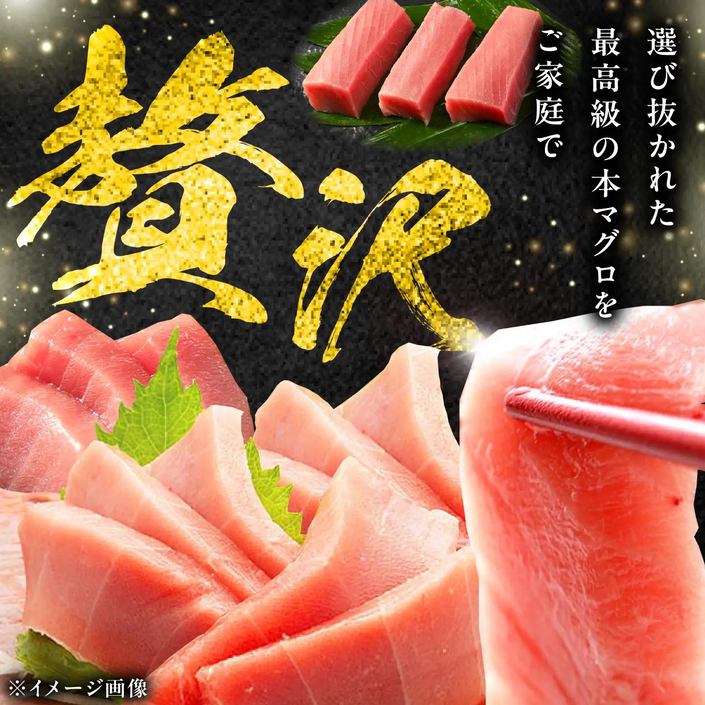 【1週間以内発送】対馬産 本マグロ 中トロ 500g [WAH018] 中とろ まぐろ スピード発送 最速発送 最短発送