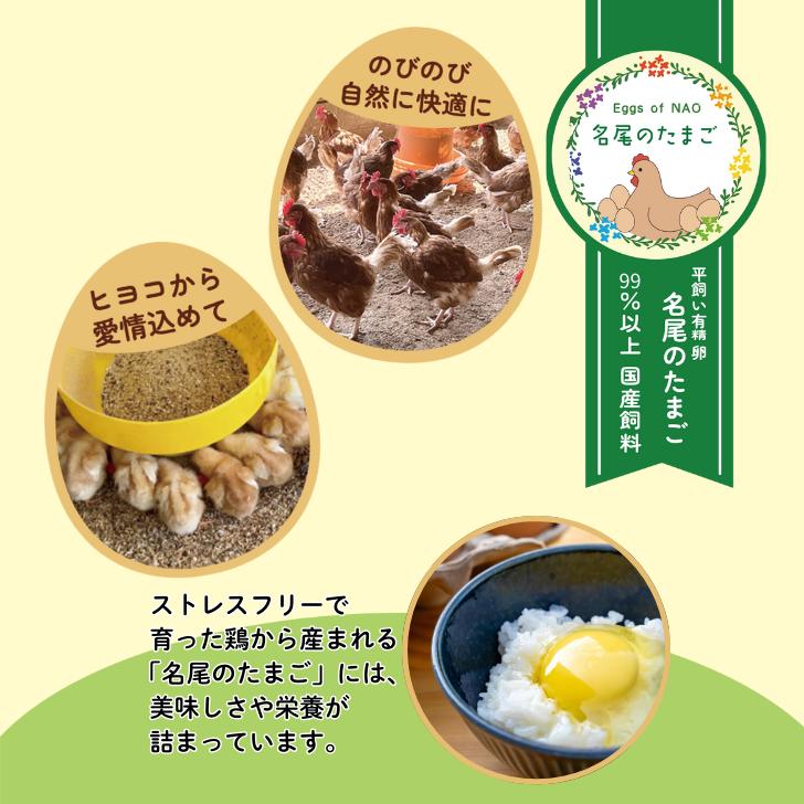 国産飼料の平飼い有精卵「名尾のたまご」20個入：B100-045_イメージ2