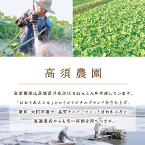 夏だけの味！「新ひかりれんこん」ギフト2kg (AMサイズ) 化粧箱入 [1742]