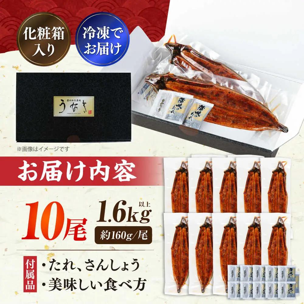うなぎ 蒲焼大10尾 うなぎ VAD026