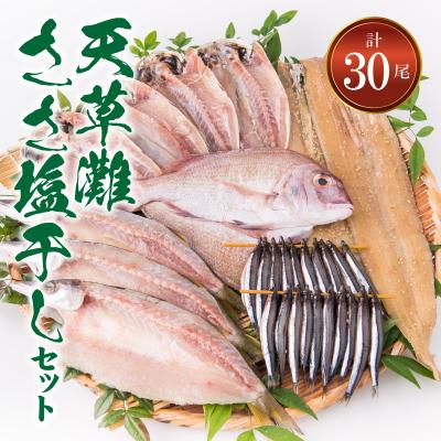 ふるさと納税 天草市 天草灘ささ塩干しセット(天然鯛、あじ、カマスのささ塩干し等)_S011-022A