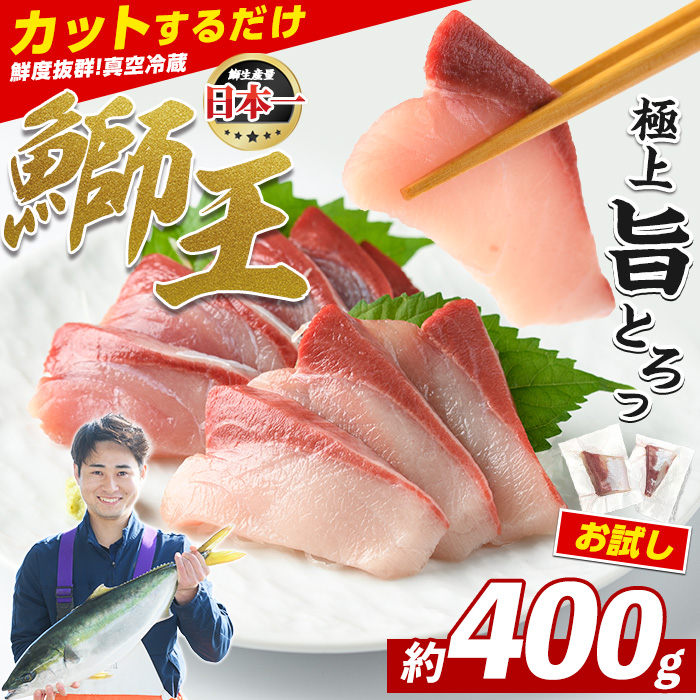 【数量限定】 ぶりの王様「 鰤王 」 スキンレスポーション 2P入り 冷蔵 でお届け ぶり ブリ 鰤 ぶりしゃぶ たたき 産地直送 新鮮 旨味が抜群の 長島町 特産品【JFA】_jfa-1599R8